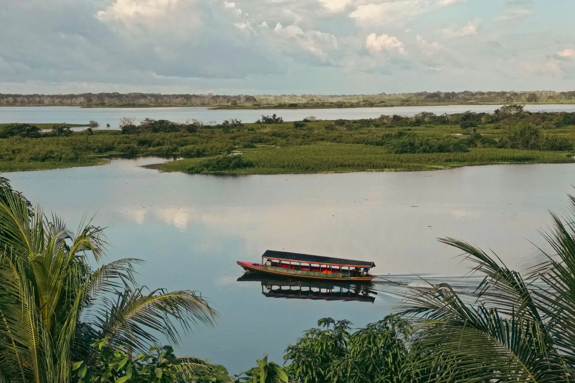 Ayahuasca retreat Iquitos