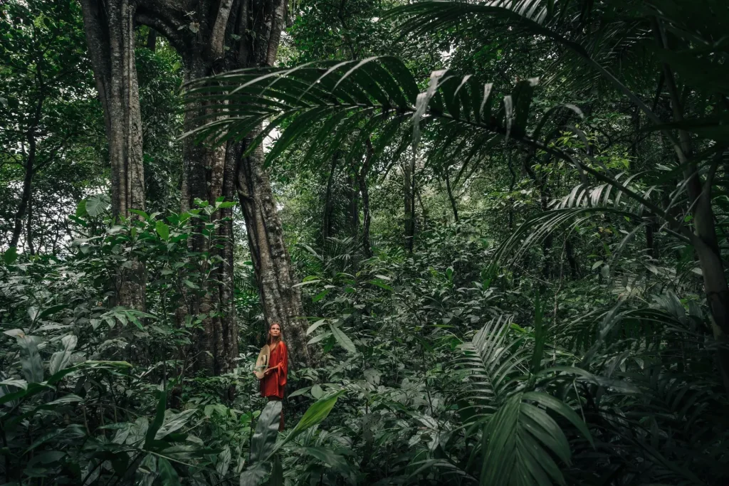 Ayahuasca retreat Iquitos 5 days